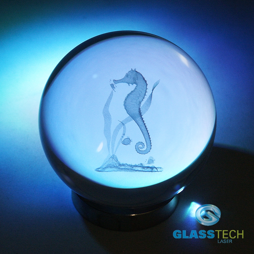 3D Mořský koník v kouli 60 mm
